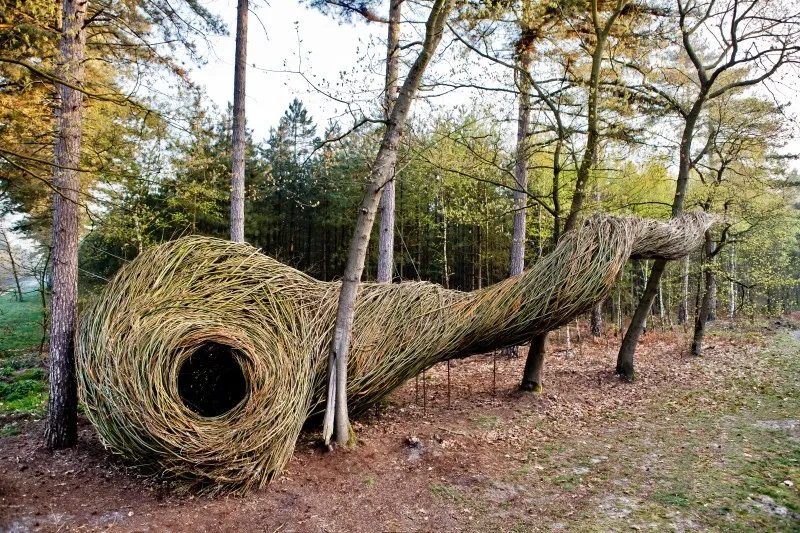 Het gevlochten kunstwerk ‘De boom in’ in wandelgebied Pijnven